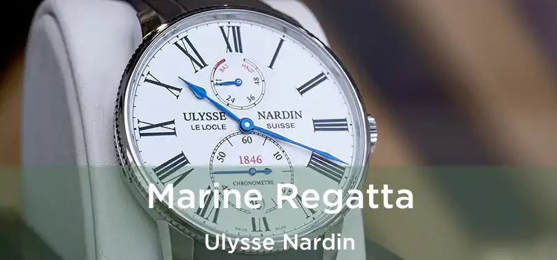  Marine Regatta Ulysse Nardin