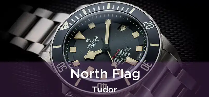  North Flag Tudor